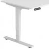 Vortex Commercial Standing Electric Straight Desk