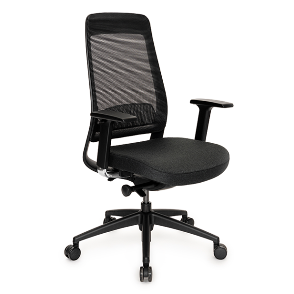 Fina Task Chair (2)