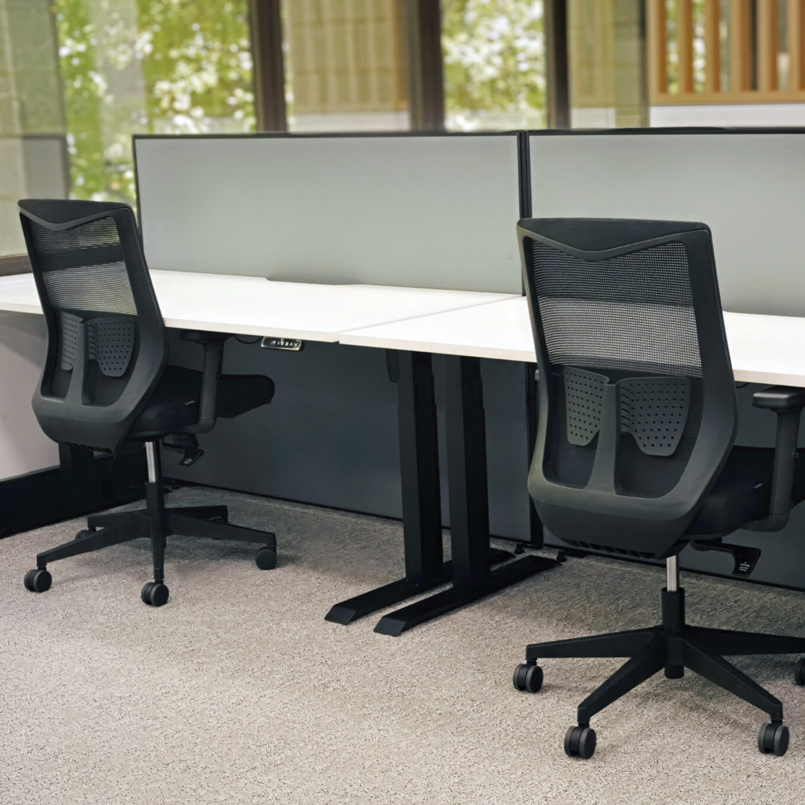 The best-selling Zuri Standard Sit Stand Desk from Aurora Office Furniture - for commercial offices across Australia